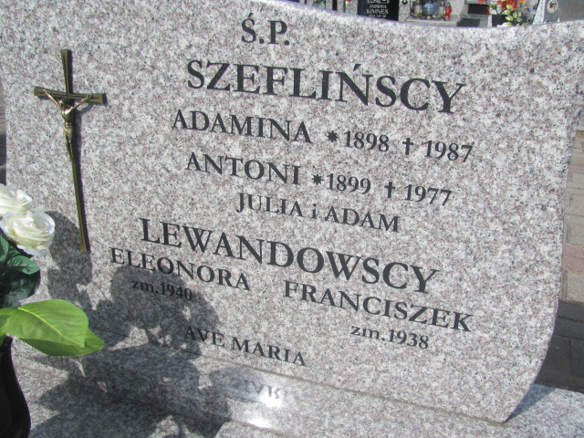 ADAMINA Szeflińska 1897 Konin Gosławice - Grobonet - Wyszukiwarka osób pochowanych
