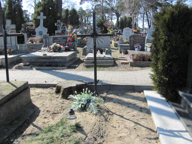 Dorota Kotarska Konin Gosławice - Grobonet - Wyszukiwarka osób pochowanych